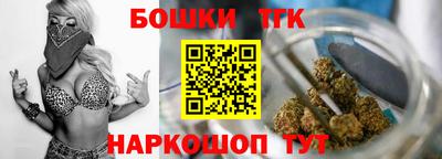 индика Новодвинск