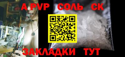 индика Новодвинск