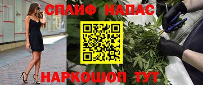 индика Новодвинск