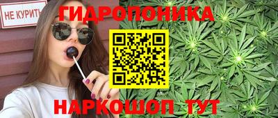 дмт Новокубанск
