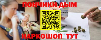 индика Новодвинск