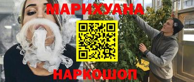 индика Новодвинск