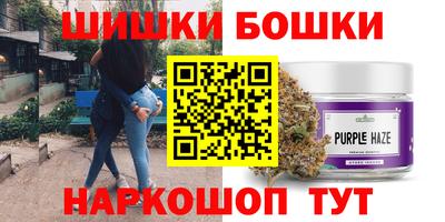 индика Новодвинск