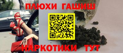 индика Новодвинск