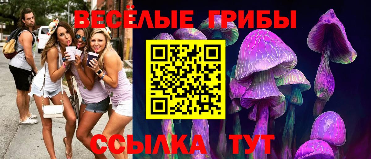 Тобольск  где можно купить   Вход с VPN  Галлюциногенные грибы Cubensis 